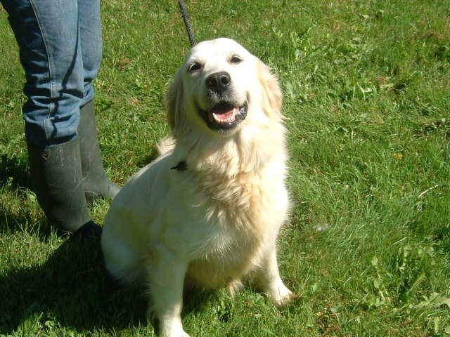 Sea breeze music of Glen Sheallag