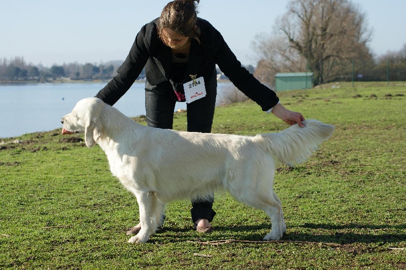 Endless dream music of Glen Sheallag