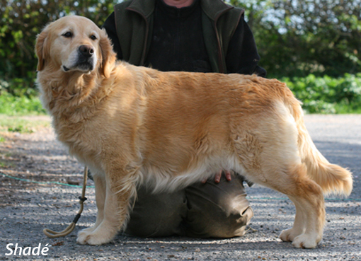 Under blue water of Glen Sheallag